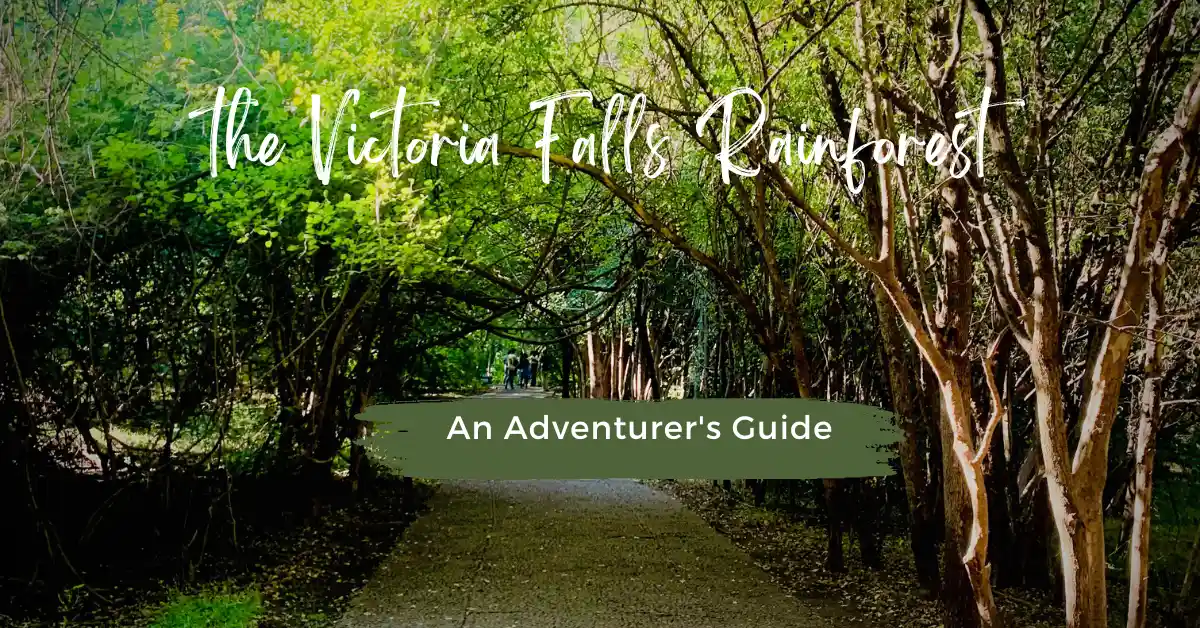 The Victoria Falls Rainforest: An Adventurer’s Guide