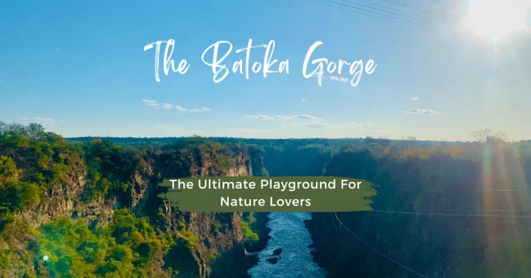 The Batoka Gorge