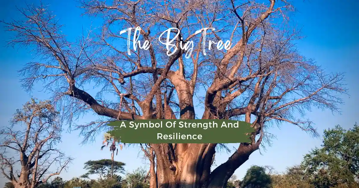 The Big Tree: A Symbol Of Strength And Resilience