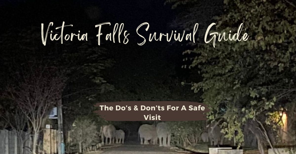 Victoria Falls Survival Guide: The Dos & Don’ts For A Safe Visit